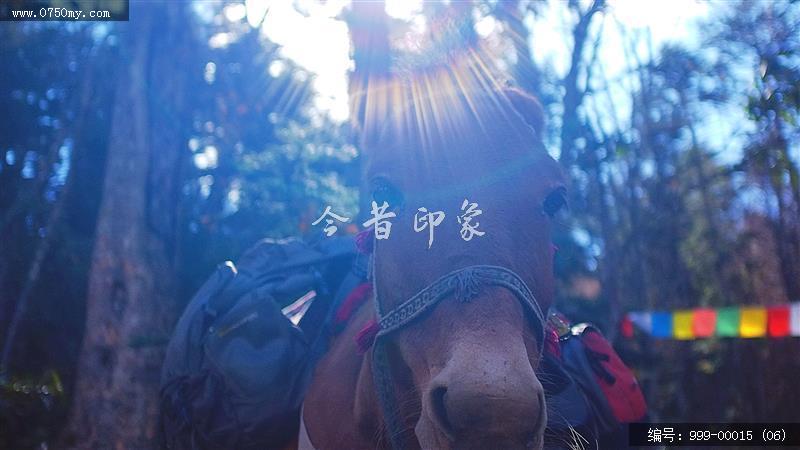 雨崩村_景色,景区,旅游,村落,藏区