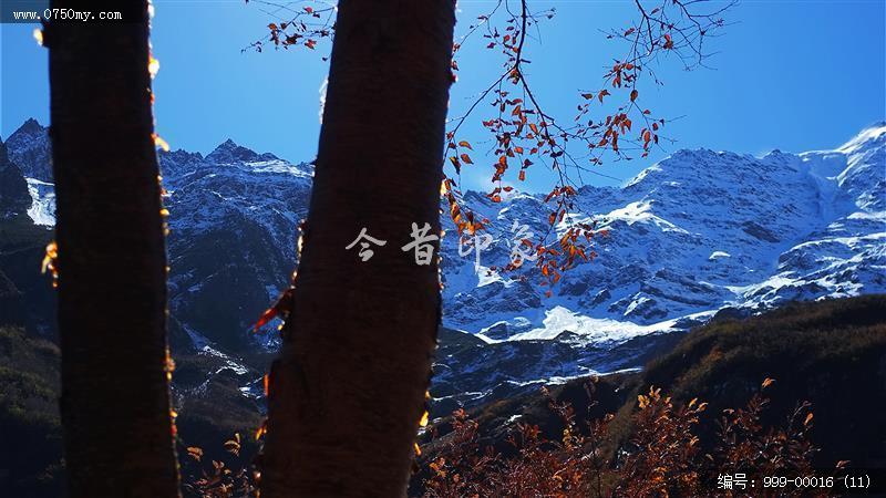 雨崩村_景色,景区,旅游,村落,藏区