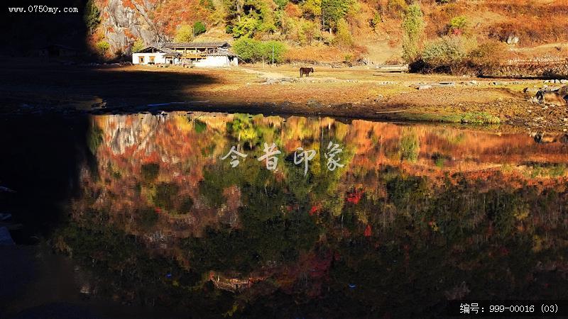 雨崩村_景色,景区,旅游,村落,藏区