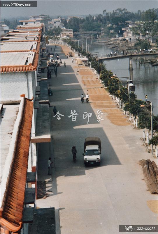 天马村路_天马,天马村,会城,道路,往昔