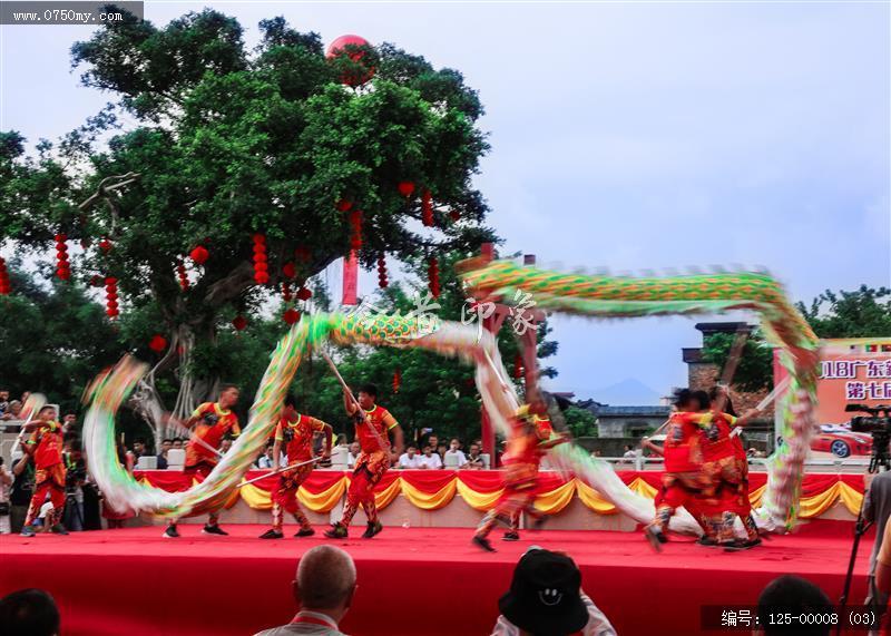 龙腾盛世_崖门,蔡李佛武术,国际,交流,舞龙
