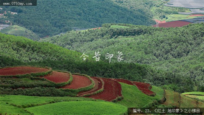 红土地印象——小梯田_红土地,旅游,风景,红土,景色