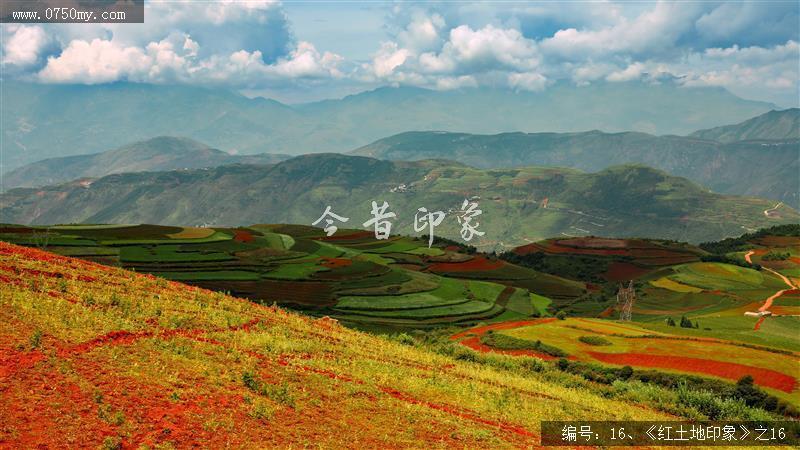 红土地印象_红土地,旅游,风景,红土,景色