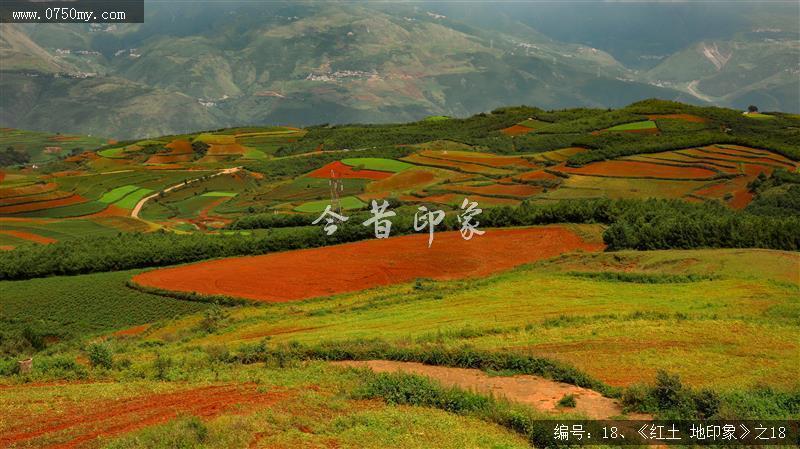 红土地印象_红土地,旅游,风景,红土,景色