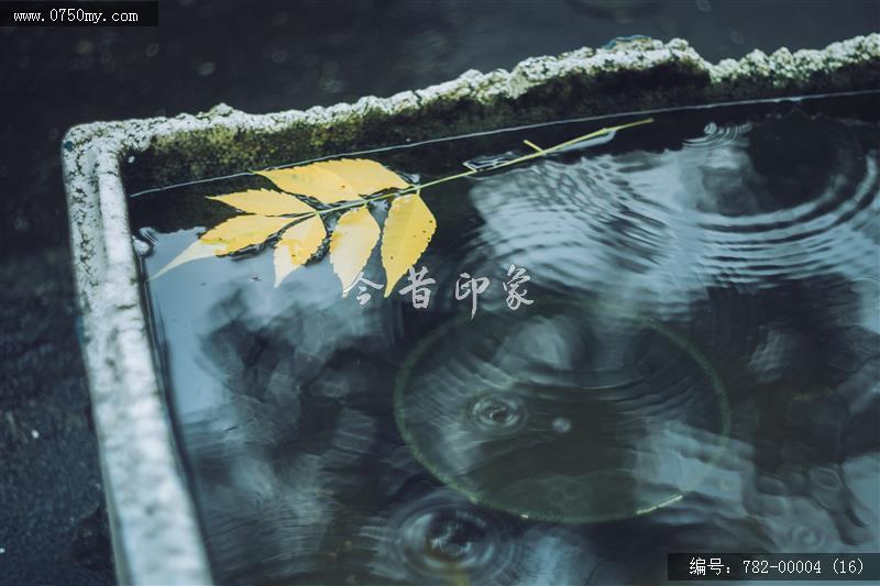 石板沙小学_石板沙,学校,旧校舍,教育,校园