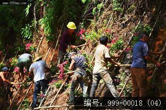 圭峰路雨后山边维护