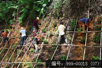 圭峰路雨后山边维护