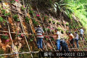 圭峰路雨后山边维护