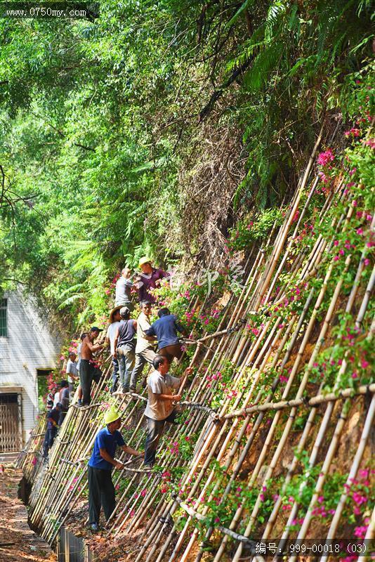 圭峰路雨后山边维护_排栅,圭峰,道路,维护,雨后,工作