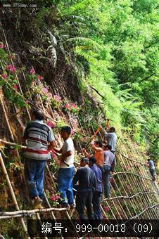 圭峰路雨后山边维护