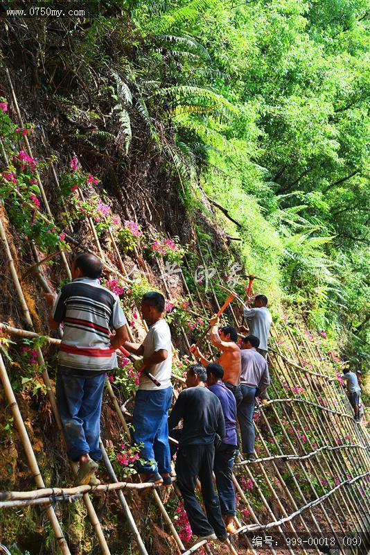 圭峰路雨后山边维护_排栅,圭峰,道路,维护,雨后,工作