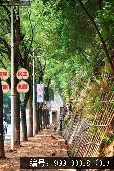 圭峰路雨后山边维护