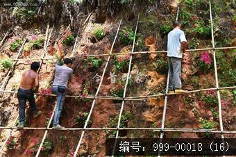 圭峰路雨后山边维护