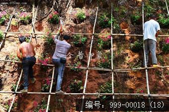 圭峰路雨后山边维护