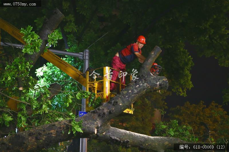 台风“山竹”对新会城区的影响_台风,山竹,城管,抗灾,风灾,城区