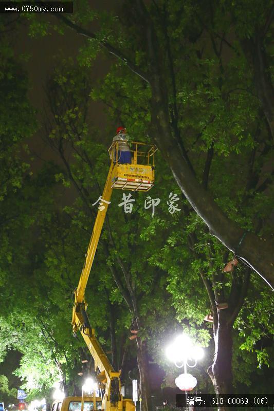 台风“山竹”对新会城区的影响_台风,山竹,城管,抗灾,风灾,城区