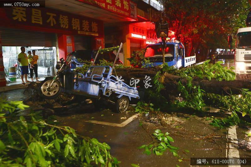 台风“山竹”对新会城区的影响_台风,山竹,城管,抗灾,城区,风灾