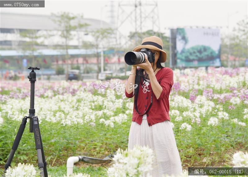 城轨站附近花海_城轨,花海,花,环境