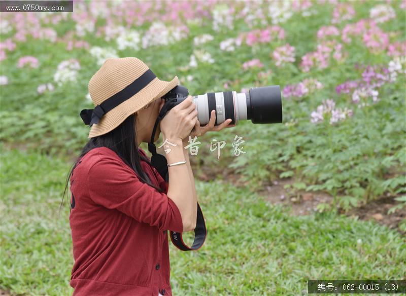 城轨站附近花海_城轨,花海,花,环境