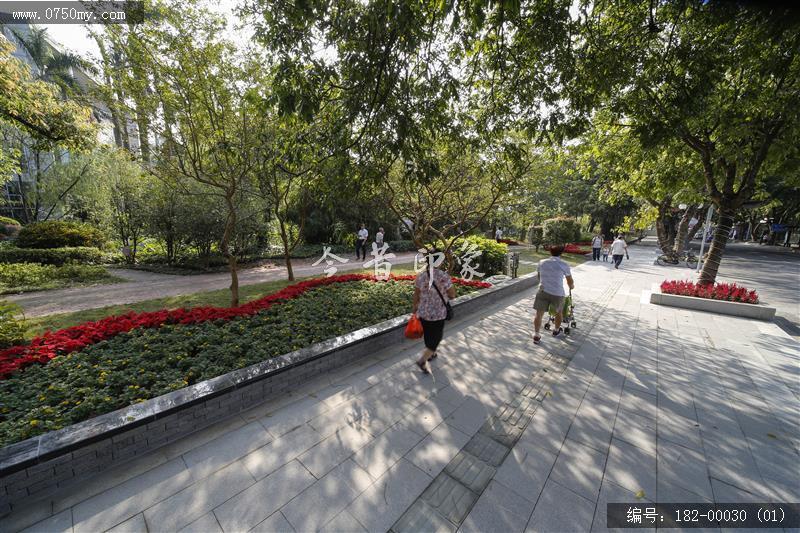 北园公园升级改造_市民,北园公园,升级改造,城市建设,公共环境,环境,建设