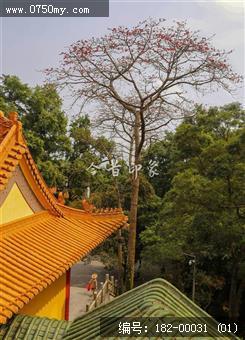 圭峰山玉台寺