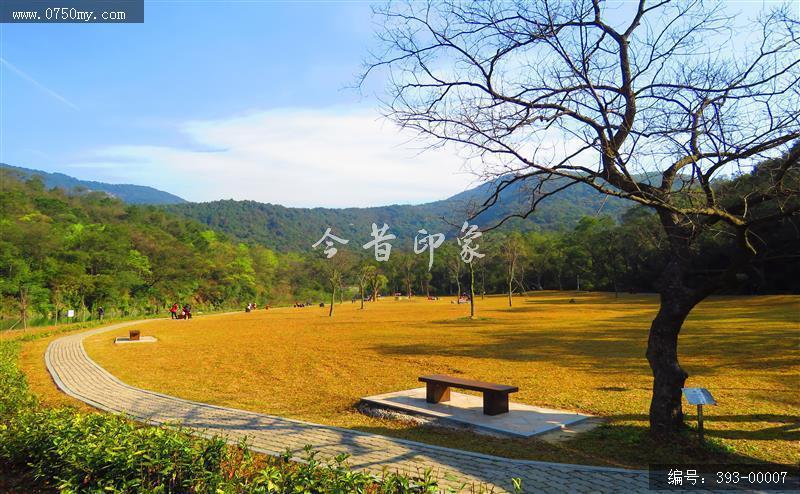 金秋石涧公园_圭峰,石涧,石涧郊野公园,景区,景色,秋色