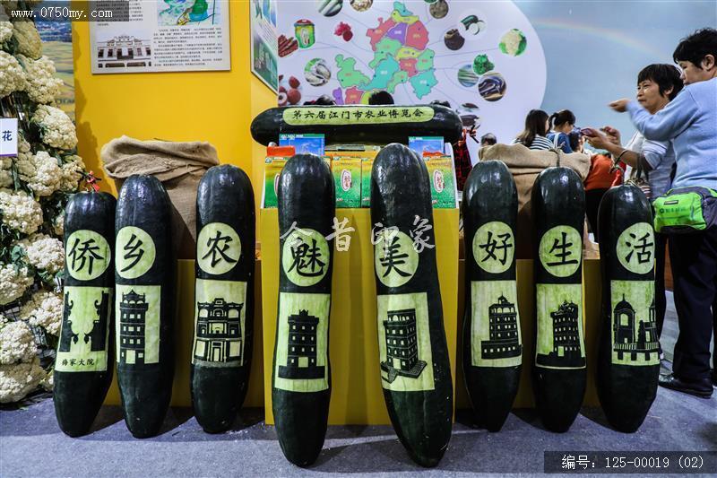 第六届江门市农博会_江门,蓬江,农博会,农业,盛会,博览