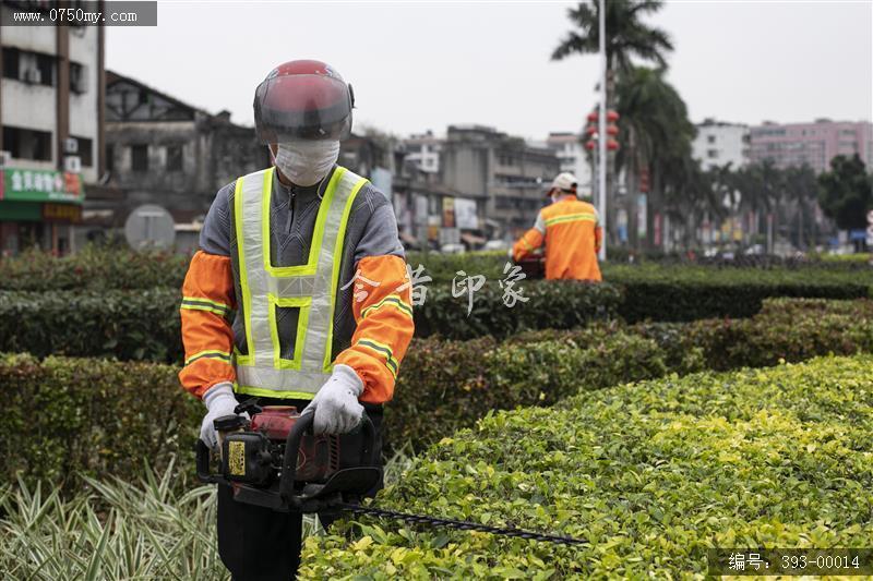 城市美容师_绿化工人,绿化,修剪,花圃