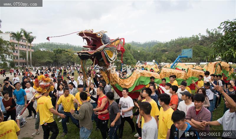 龙舞贺新年_三江,仁和里,金龙巡游,春节,舞龙