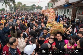 泮村灯会