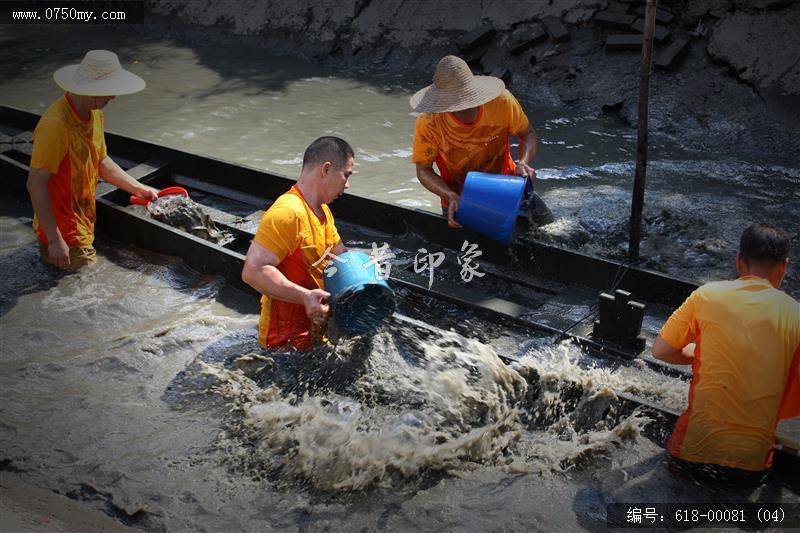 潜龙濯沐_龙舟起水,传统文化,活动,民俗