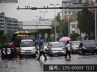 会城街头雨景纪实