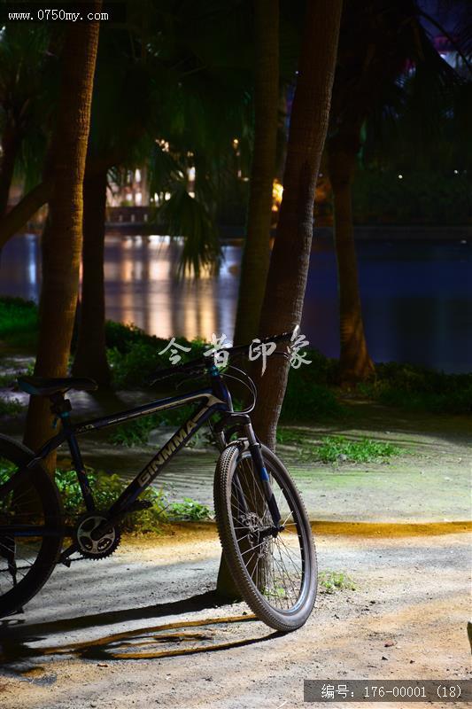 葵湖夜色_葵湖,夜景,风光