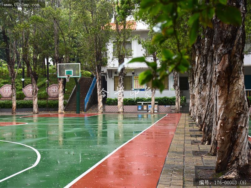 会城街头雨景纪实_落水,街景,扫街,人文