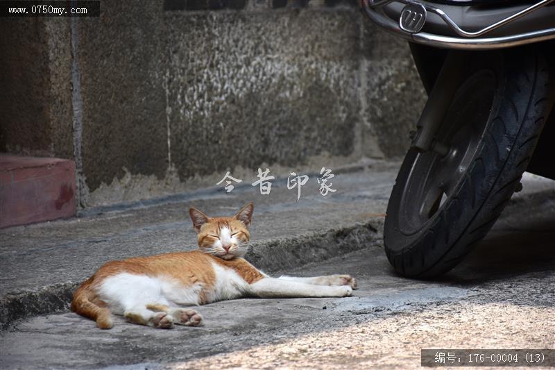 再看浐湾街_城市,人文,旧街