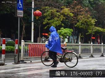 会城街头雨景纪实