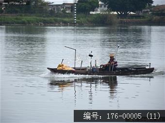 春游红卫岛