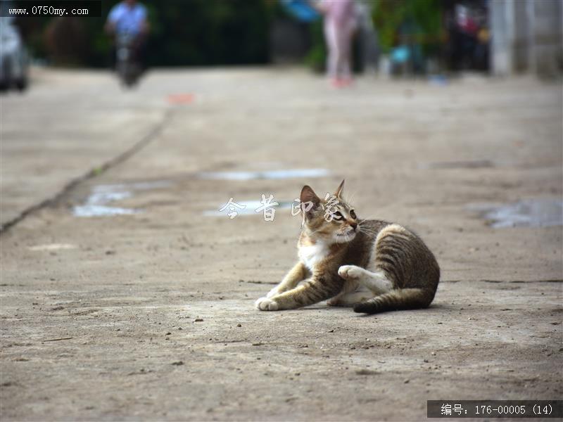 春游红卫岛_旅游,风光