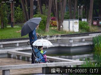 会城街头雨景纪实