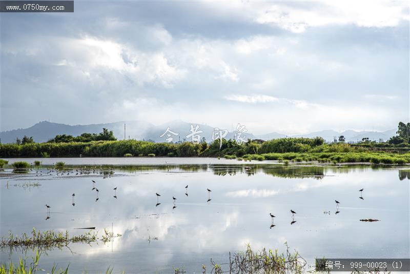 碧海银湖_碧海银湖,银湖湾,崖南围垦