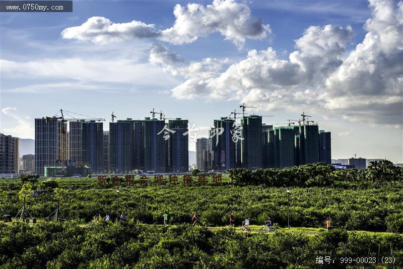 新会柑种植基地_新会柑,种植基地,城市楼林