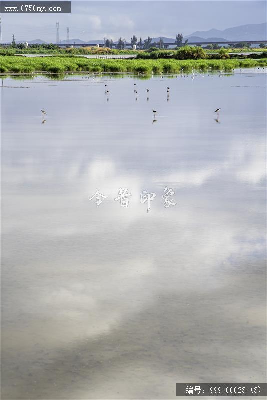 碧海银湖_碧海银湖,银湖湾,崖南围垦