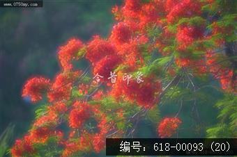 泗丫转龙头