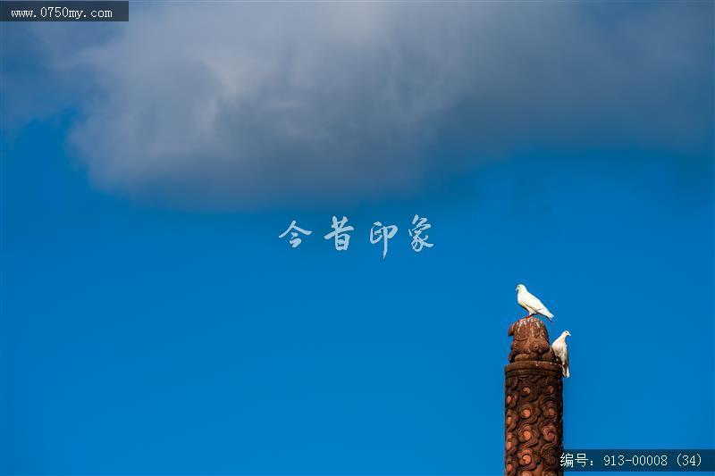 和谐自然_学宫,自然,和谐