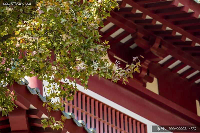 玉台寺_玉台寺,旅游景点