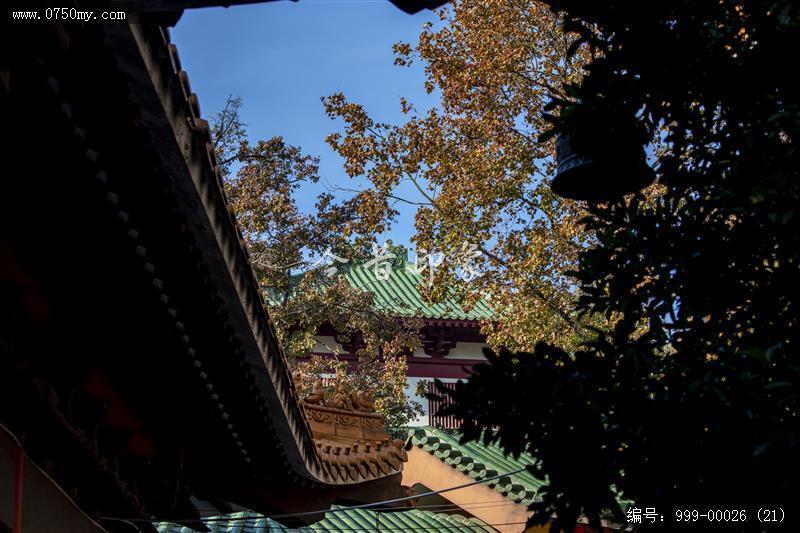 玉台寺_玉台寺,旅游景点