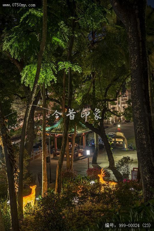 北园公园夜景_北园公园,夜景