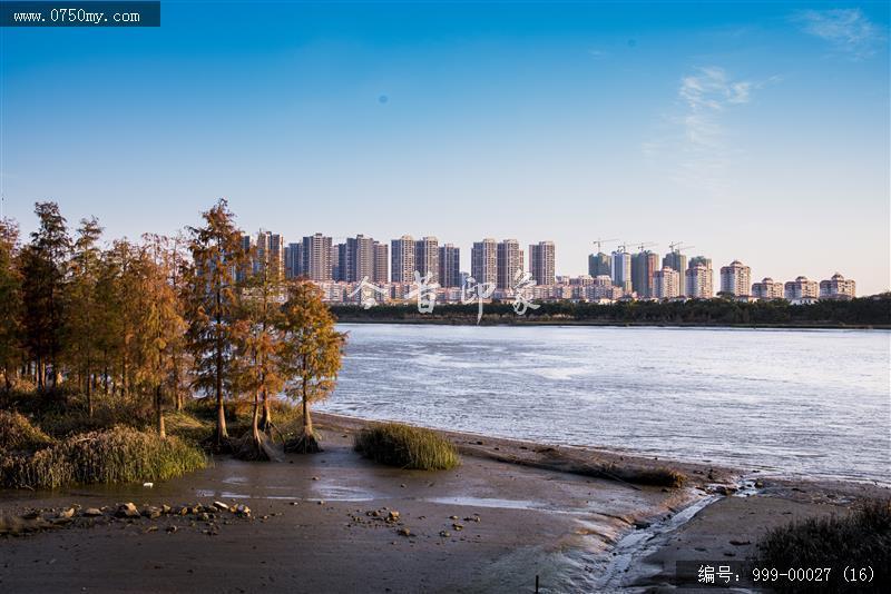 远眺潭江_日出,风光