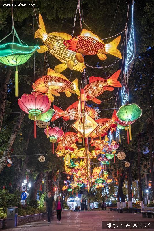 鱼灯_鱼灯,传统文化