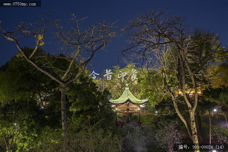 北园公园夜景_北园公园,夜景